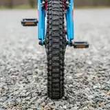 Bicicleta Niño Raleigh Mxr R20 8 - 12 Años