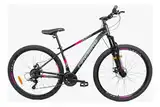 Bicicleta Mtb R29 Firebird Shie Damas 21v Aluminio Equipamiento Shimano