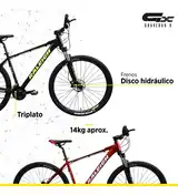 Bicicleta Mtb Raleigh Mojave 4.5 R29 24v