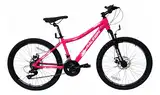 Bicicleta Mtb Raleigh Scout R24 21v Freno Disco