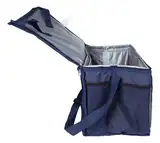 Bolso Conservadora Térmica Mor 20 L Camping Playa