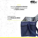 Bolso Conservadora Térmica Mor 20 L Camping Playa