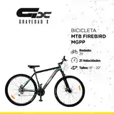 Bicicleta Firebird Mtb R29 MGPP 21v Aluminio F/disco Suspensión Delantera