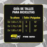 Bicicleta Mtb Firebird R29 Alum 24v D Hidráulico