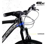 Bicicleta Firebird Mtb R29 MGPP 21v Aluminio F/disco Suspensión Delantera
